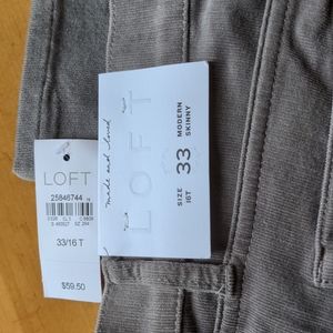 Loft 16/33 Tall straight stretch cordoroy pants